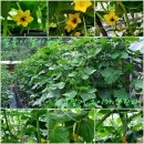 자연마트 이미지