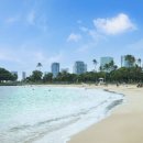 비치파크 이미지