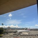 와이키키포케 이미지