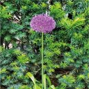 나무와창 이미지