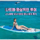 미니비치