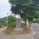 이윤경선생묘 및 신도비 이미지