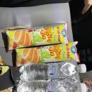 해돋이농장 | 🇻🇳 나트랑 &lt;1일차&gt; - 무이네 해돋이 투어