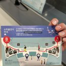 [신혼여행] - 1. 발리(Bali) 신혼여행 후기 + 준비물 (with 코리안투어)