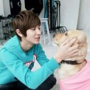 예 Daum카페