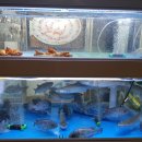 바로바로 횟집 이미지