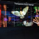 상업용 88 이미지