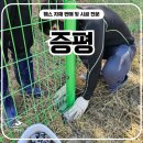 H1800 | 증평휀스 펜스 - “이 정도면 새로 설치한 거 아닌가요?” 증평휀스 수리 후기 대공개