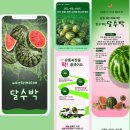 에이전시브릭스 | 수박 농수산 상세페이지디자인: '달수박'