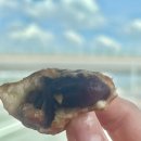 호두과자 이미지