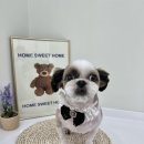 푸드르르 이미지