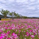 여주-1010 이미지