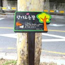 사인1리 이미지
