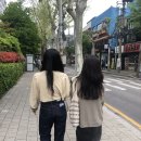 [일기]근로 일상, 시카고 뮤지컬 후기, 후다닥 과제 조지기, 꾸오레 베로, 시차 크럼블 애플파이, 전에...