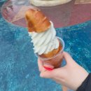 배시화국어 | 난 아직 꿈을 꾸고 있어