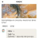 얼큰이 순대국 감자탕 이미지