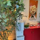 강릉정동진바다풍경오션뷰펜션 | [정동진] 강릉 바다풍경 오션뷰 펜션 2층 숙박 후기