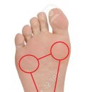 Wellness Gym 이미지