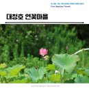 01-99 동구 | 대청호 연꽃마을과 시원한 차마시며 황새바위 전망대 산책