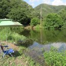 고산낚시터 이미지