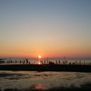 이호해변 이미지