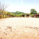 해맞이승마클럽 이미지