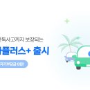 카모아 이미지