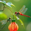 정규농장 이미지