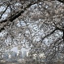 현충탑샘물 이미지