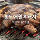 제주애월맛집 육즙가득 고소한 제주산 숙성흑돼지구이 &#34;훈도애월흑돼지&#34;후기