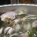 택이네조개전골 이미지