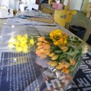 제이제이농장 이미지