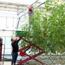 해나농장 이미지