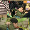 애니멀즈 이미지