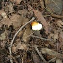 국사봉 입구 이미지