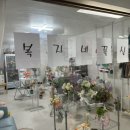 복자네꽃실