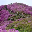 동천주유소 이미지