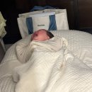 세인트마리 여성병원 산후조리원 | 세인트마리 여성병원 출산, 산후조리원 이용 그리고 육아일기 스따뚜