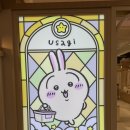 용산-현장-9 | 용산 치이카와 평일 현장대기 후기!