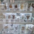 바브로(babro) 이미지