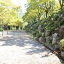 옥샘캠핑장 이미지