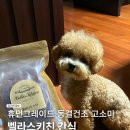 벨라스키친 | 기호성 높은 벨라스키친 동결 강아지수제간식 후기