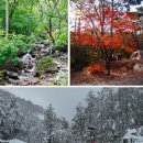 청옥산 자연휴양림-경북 봉화 청옥산 자연휴양림 소개 이미지