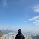 엄광산 | [부산등산코스] 부산 벚꽃 등산길 엄광산 봄 추천 등산코스 동의대효민야구장~엄광산~원점회귀코스