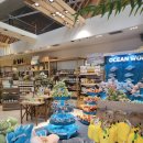 교대사랑약국 이미지