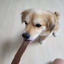 이소블랜딩 이미지