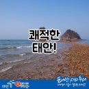 꿈안전어울림꽃피는 여성친화 골목길 | 도시 공공디자인! 쾌적한 태안을 만들어요!