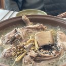 진해 오리요리 맛집 | 동백산장 🦆