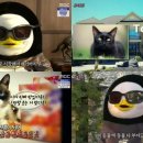까메오