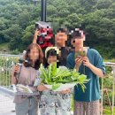 엄마방민박 네이버블로그